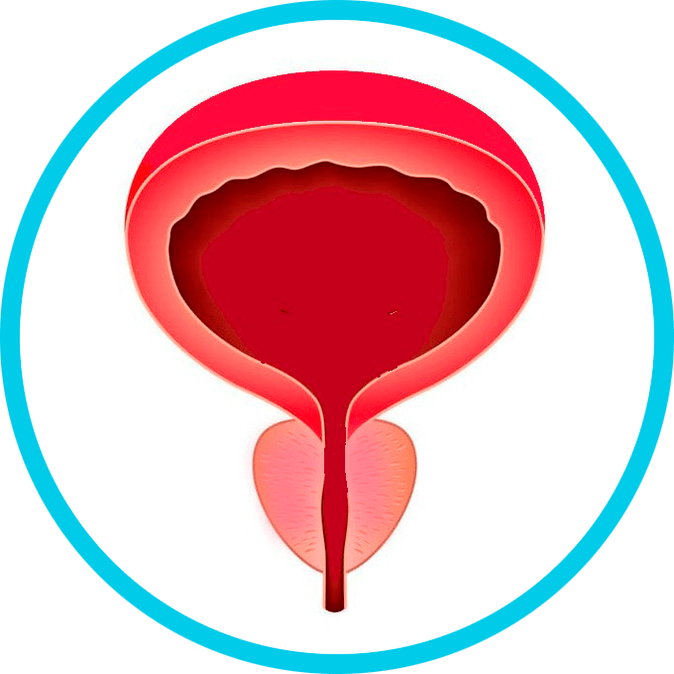 Prevenzione della prostatite